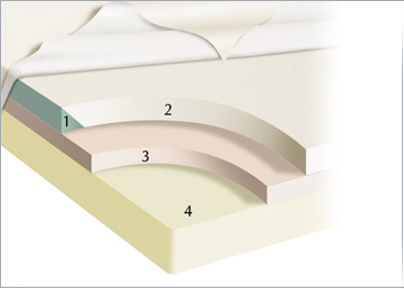 quality compare to Tempurpedic Memory Foam Temperpedic Ergo Adjustable Beds Tempur Pedic Temper viscose elastic sleep science supplepedic strobel houston tx 