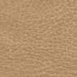 buckskin
