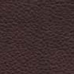 coffeeBean